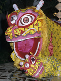 Chinese Dragon Dance at Chinese New Year Celebrations, Vietnam, Indochina, Southeast Asia, Asia Photographic Print by Stuart Black