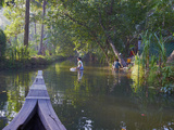 Backwaters, Allepey, Kerala, India, Asia Fotografie-Druck von  Tuul