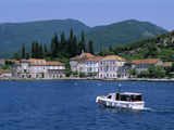 Rose, the Boka Kotorska (Bay of Kotor), Montenegro, Europe Photographic Print by Stuart Black