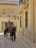 Mdina, the Fortress City, Malta, Europe Photographic Print by Simon Montgomery