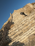 Woman Climbing Steep Steps, Great Wall of China, UNESCO World Heritage Site, Huanghuacheng (Yellow  Fotografie-Druck von Kimberly Walker