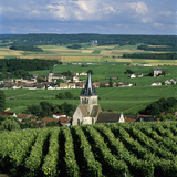 Champagne Vineyards, Ville-Dommange, Near Reims, Champagne, France, Europe Photographic Print by Stuart Black
