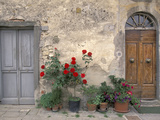 Tuscan Doorway in Castellina in Chianti, Italy Photographic Print by Walter Bibikow