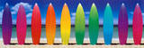 Surf Boards Rainbow Posters
