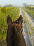 Horse Trails at Kissimmee Prairie Preserve State Park, Florida, Usa Photographic Print by Maresa Pryor
