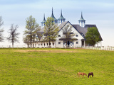 Thoroughbred Horses Grazing, Manchester Horse Farm, Lexington, Kentucky, Usa Photographic Print by Adam Jones