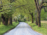 Lane at Cades Cove in the Spring in the Smoky Mountains National Park, Tennessee, Usa Photographic Print by Joanne Wells