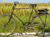 An Old Bicycle Along the Road in the Rice Patties of Ubud, Bali, Indonesia Photographie par Micah Wright
