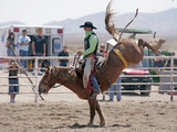 Competitor in the Bronco Riding Event During the Annual Rodeo Held in Socorro, New Mexico, Usa Photographic Print by Luc Novovitch