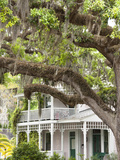 Historic Home with Spanish Moss-Covered Oak Tree, Fernandina Beach, Amelia Island, Florida, Usa Photographic Print by Cindy Miller Hopkins