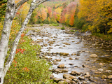 Fall Colors Along the Swift River in Maine's Northern Forest, Byron, Maine, Usa Photographic Print by Jerry & Marcy Monkman