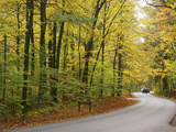 Mccormics Creek State Park, Indiana, Usa Photographic Print by Anna Miller