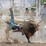 Competitor Falling from His Mount During the Bull Riding Competition, Socorro, New Mexico, Usa Photographie par Luc Novovitch