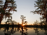 Caddo Lake at Sunrise, Marion Co., Texas, Usa Photographie par Larry Ditto