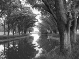 Shaded River in the Pampa Region, Argentina Photographic Print by Michele Molinari