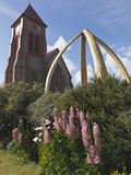 Church Tower with Lupine and Whalebone Arch, Port Stanley, Falkland Islands, South Atlantic Photographic Print by Bill Young