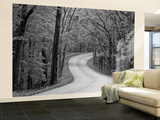 Curvy Roadway under Spring Green Canopy at Brown County State Park in Indiana, Usa Wall Mural – Large by Chuck Haney