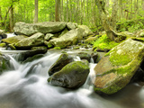 Roaring Fork River, Great Smoky Mountains National Park, Tennessee, Usa Photographic Print by Adam Jones