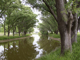 Shaded River in the Pampa Region, Argentina Photographic Print by Michele Molinari