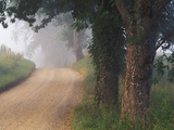 Cades Cove, Smokey Mountains National Park, Tennessee, Usa Photographic Print by William Sutton