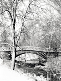 Garfield Park, Indianapolis City Park, Indiana, Usa Photographic Print by Anna Miller