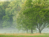 Foggy Sunrise, Cades Cove, Great Smoky Mountains National Park, Tennessee, Usa Photographic Print by Adam Jones