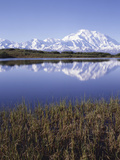 Tundra Pond in Summer, Denali National Park, Mount Mckinley, Alaska, Usa Photographic Print by Gerry Reynolds