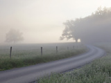Sunrise on Foggy Frosty Morning, Cades Cove, Great Smoky Mountains National Park, Tennessee, Usa Photographic Print by Adam Jones