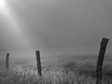 Sunrise on Foggy Frosty Morning, Cades Cove, Great Smoky Mountains National Park, Tennessee, Usa Photographic Print by Adam Jones