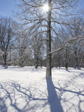 Eagle Creek City Park, Indianapolis, Indiana, Usa Photographic Print by Anna Miller