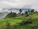 Rice Fields and Terraces Spread Out in All Areas Between the Mountains, Bhutan Photographie par Tom Norring