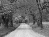 Lane at Cades Cove in the Spring in the Smoky Mountains National Park, Tennessee, Usa Photographic Print by Joanne Wells