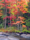 Autumn in the Adirondack Mountains, New York, Usa Photographie par Christopher Talbot Frank
