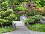 Nishinomiya Japanese Garden, Manito Park, Spokane, Washington, Usa Photographic Print by Jamie & Judy Wild
