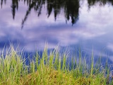 Clouds Reflected in a Pond Photographic Print by John Eastcott & Yva Momatiuk