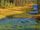 Surrounded by Forest, a Shallow Pond Reflects the Evening Sky Photographic Print by John Eastcott & Yva Momatiuk