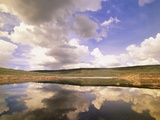 Cumulus Clouds Cast Reflections into a Pond. Low Hills are in the Background Photographic Print by John Eastcott & Yva Momatiuk