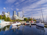 Canada, Ontario, Toronto, Marina Quay West, Skyline with Cn Tower Fotografie-Druck von Alan Copson