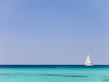 Italy, Sardinia, Olbia-Tempo, Berchidda, a Sailing Boat Out at Sea Photographic Print by Nick Ledger