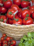 Sicily, Italy, Western Europe, Tomatoes and Basil, Staple Items in the Southern Italian Kitchen Photographic Print by Ken Scicluna