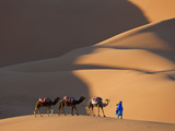 Camels and Dunes, Erg Chebbi, Sahara Desert, Morocco Photographic Print by Peter Adams