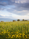 Israel, the Galilee, Tiberias, Sea of Galilee-Lake Tiberias Photographie par Walter Bibikow