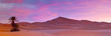 Merzouga, Sahara Desert, Morocco Photographic Print by Doug Pearson