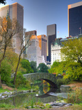 USA, New York, Manhattan, Central Park, the Pond Photographic Print by Alan Copson
