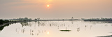 Sundarbans National Park, Tiger Reserve at Dawn. West Bengal, India Photographic Print by Mauricio Abreu