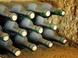Wine at Quinta Do Casal Das Freiras. Tomar, Portugal Photographic Print by Mauricio Abreu