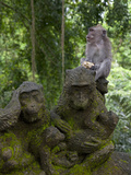 Bali, Ubud, a Macaque Sitting on a Stone Carving of a Macaque Photographic Print by Niels Van Gijn