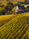 France, Aquitaine Region, Gironde Department, St-Emilion, Wine Town, Unesco-Listed Vineyards Photographic Print by Walter Bibikow