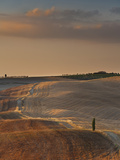 Italy, Tuscany, Siena District, Orcia Valley, Countryside Photographic Print by Francesco Iacobelli