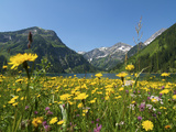 Lake Vilsalpsee, Tannheim Valley, Austria Photographie par Katja Kreder